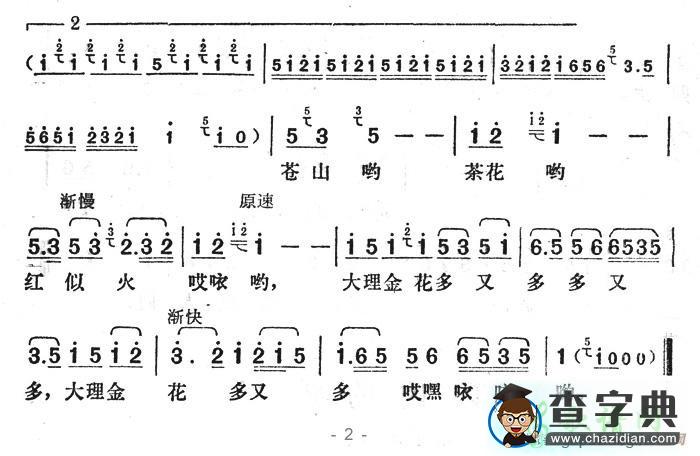 大理金花多又多简谱