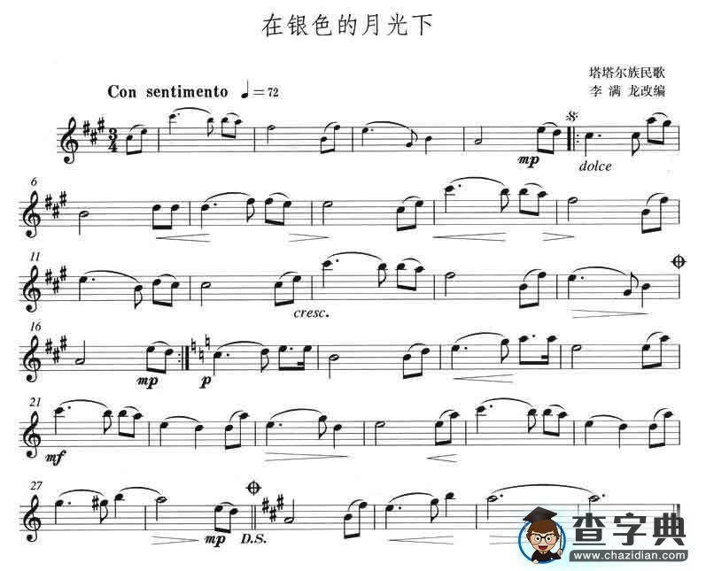 在银色的月光下