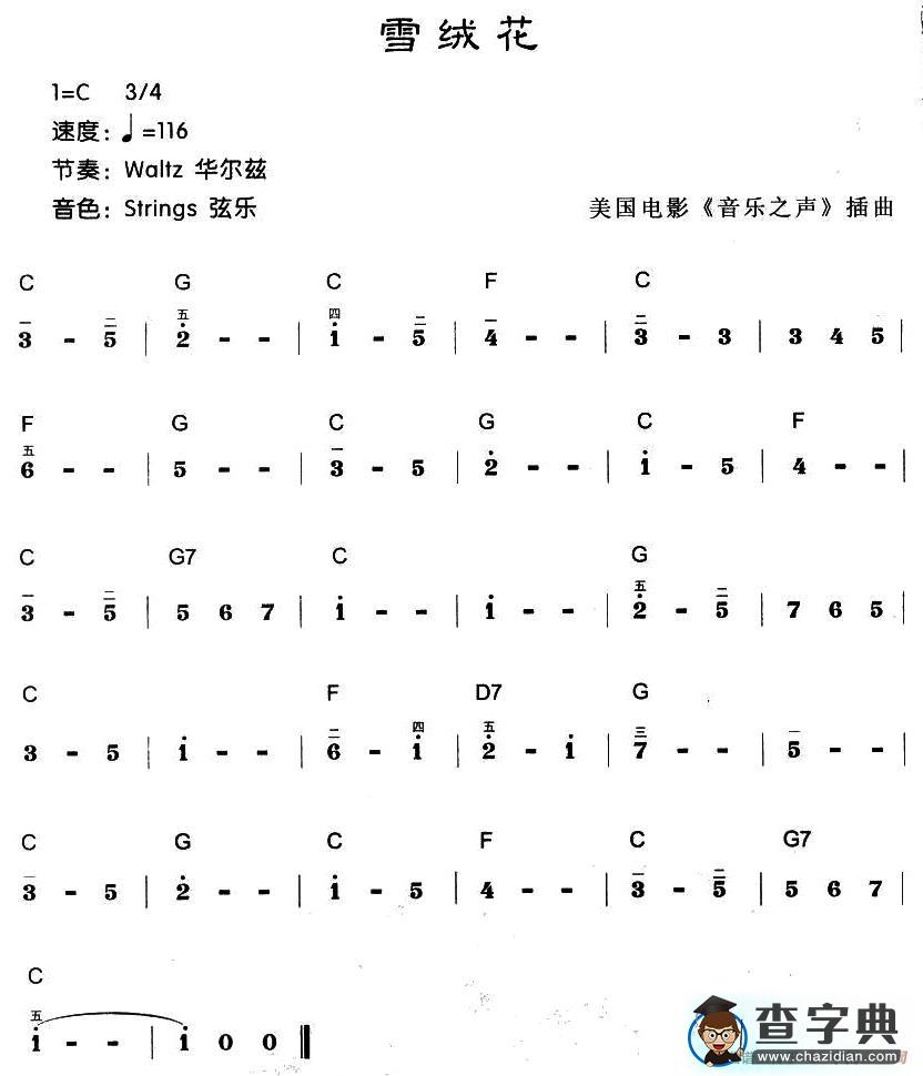 雪绒花