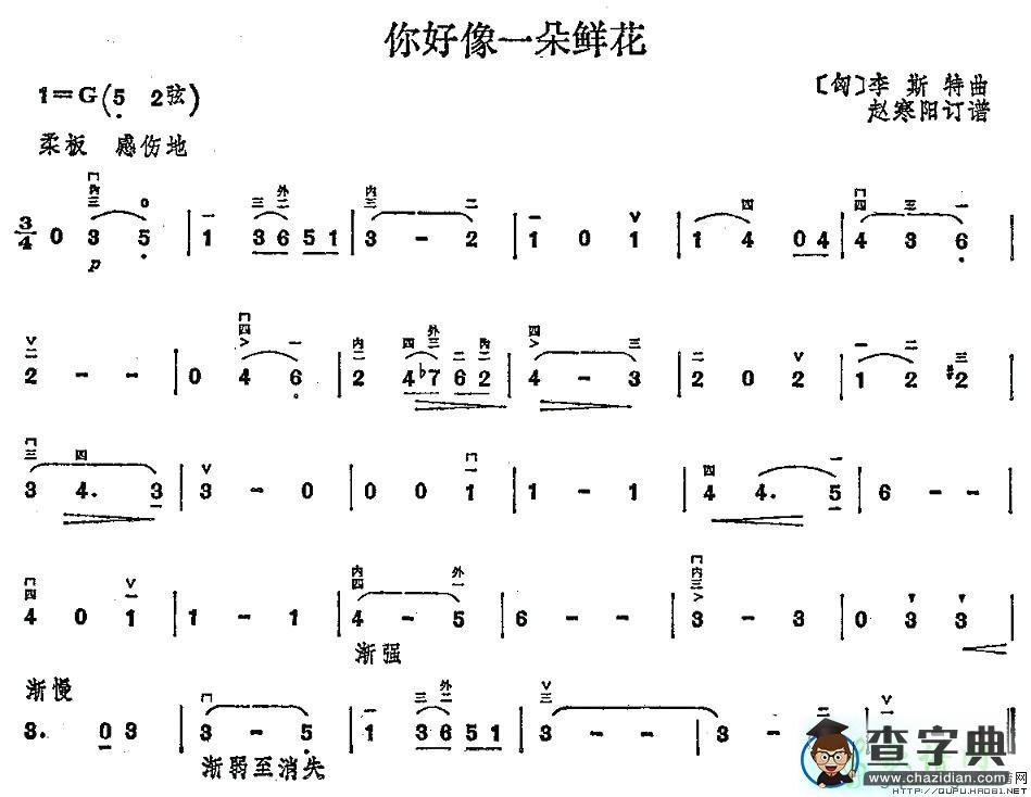 你好像一朵鲜花二胡曲谱