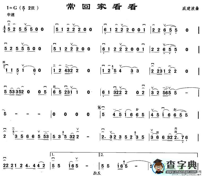 常回家看看二胡曲谱