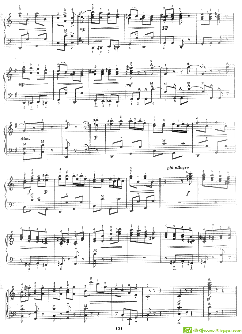 拨奏波尔卡手风琴谱(约翰·施特劳斯作曲)