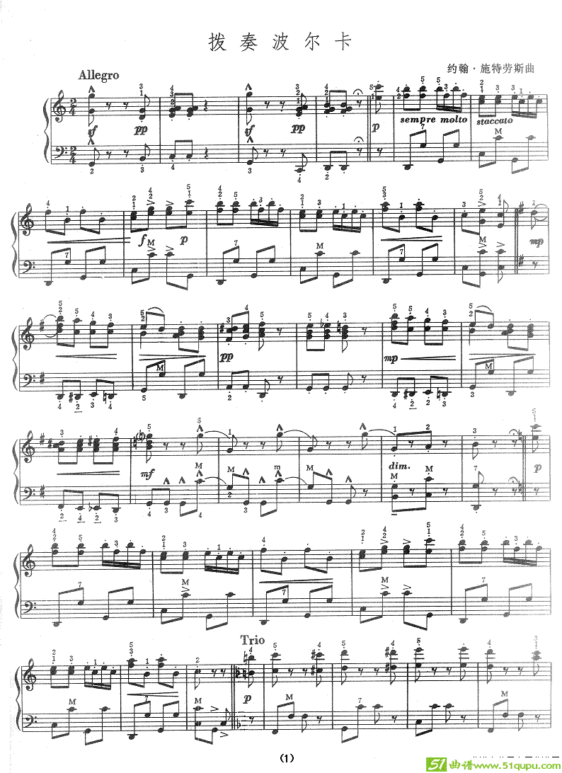 拨奏波尔卡手风琴谱(约翰·施特劳斯作曲)