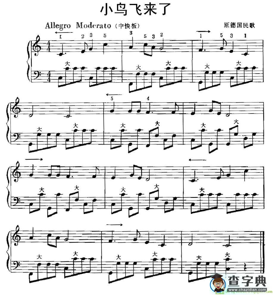 小鸟飞来了手风琴谱