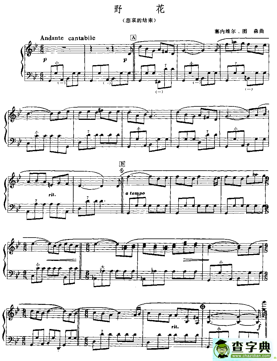 野花手风琴曲谱(塞内维尔·图森作曲)