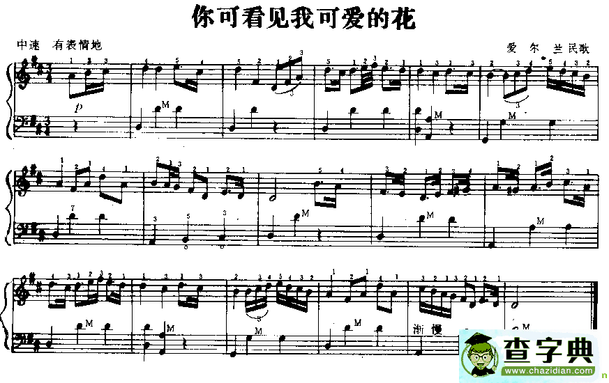 你可看见我可爱的花手风琴谱