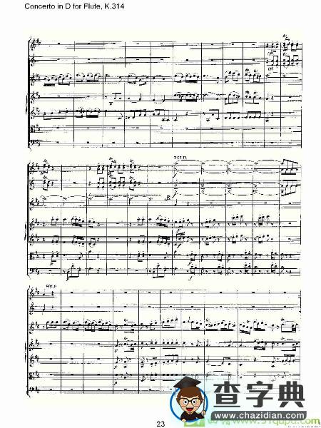 Concerto in D for Flute, K.314长笛谱
