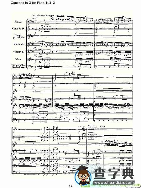 Concerto in G for Flute, K.313长笛谱