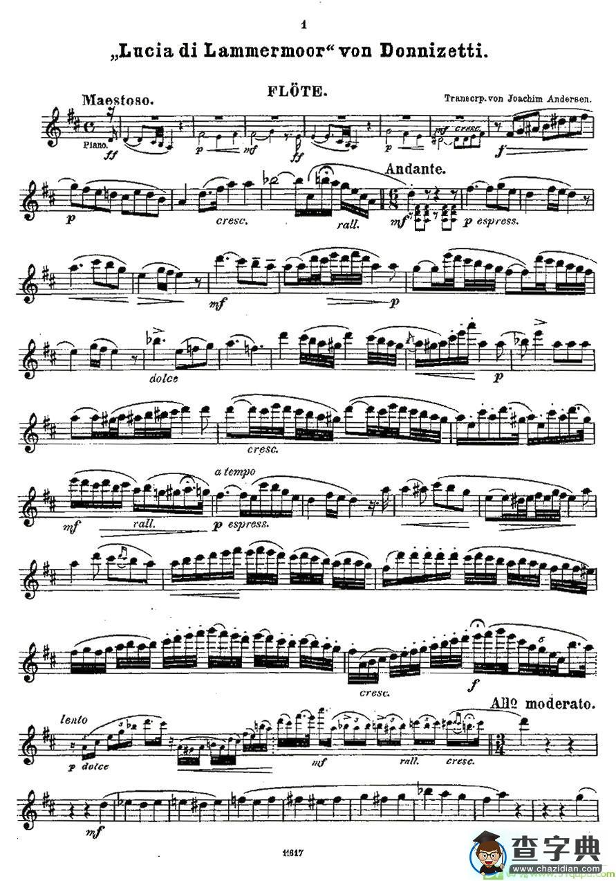 Opern-Transcriptionen.Op.45-6长笛谱