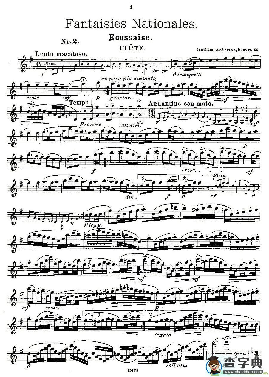 Fantaisies nationales. Op. 59, 2. 长笛谱(Andersen（安德森）作曲)