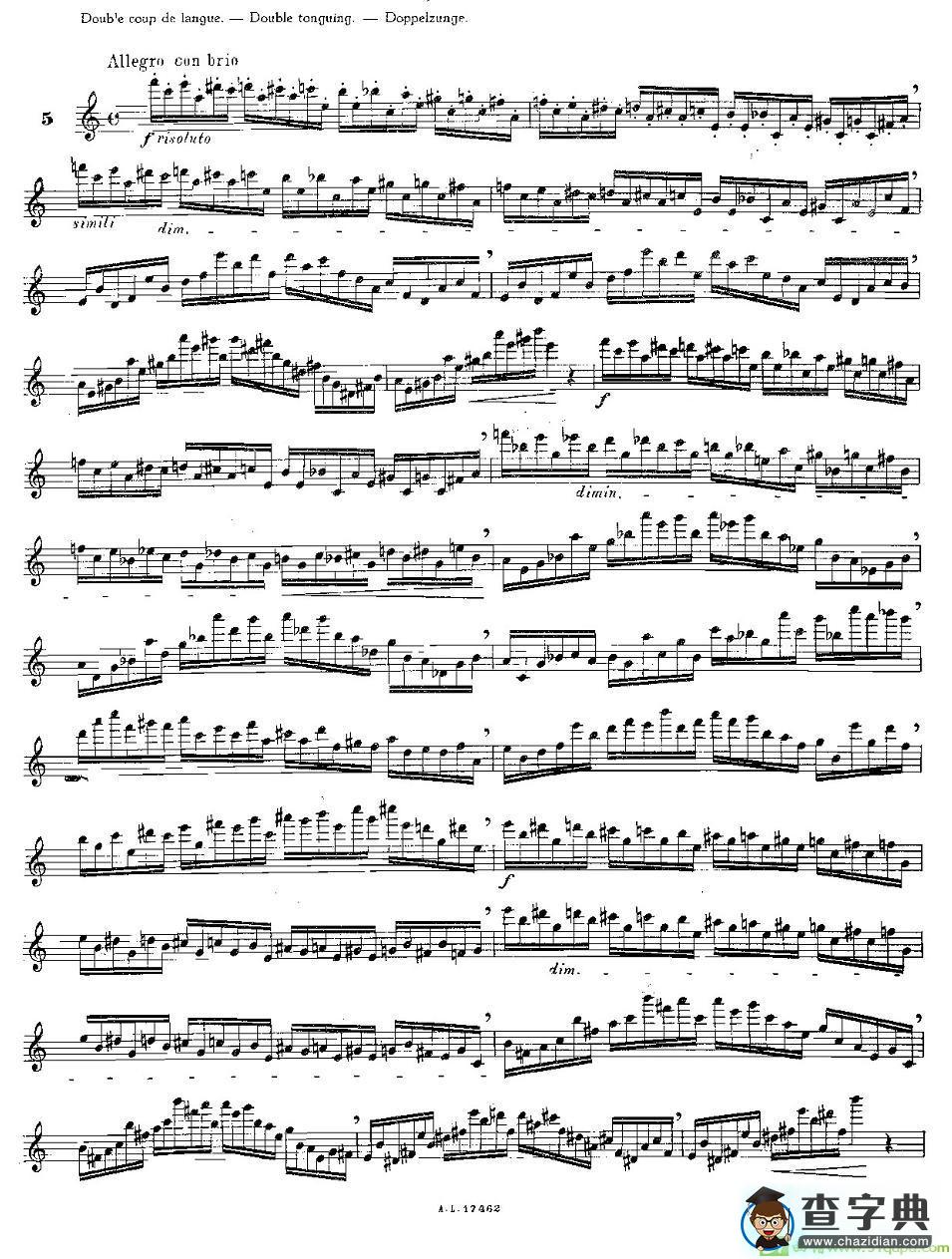 12首大技巧练习曲之5长笛谱(Moyse（莫伊斯）作曲)
