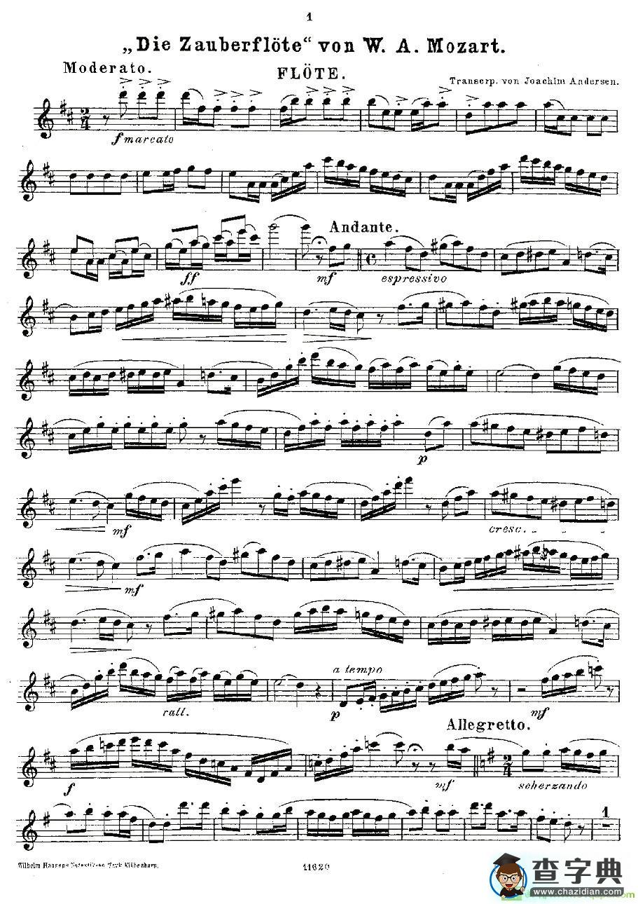 Opern-Transcriptionen.Op.45-8长笛谱