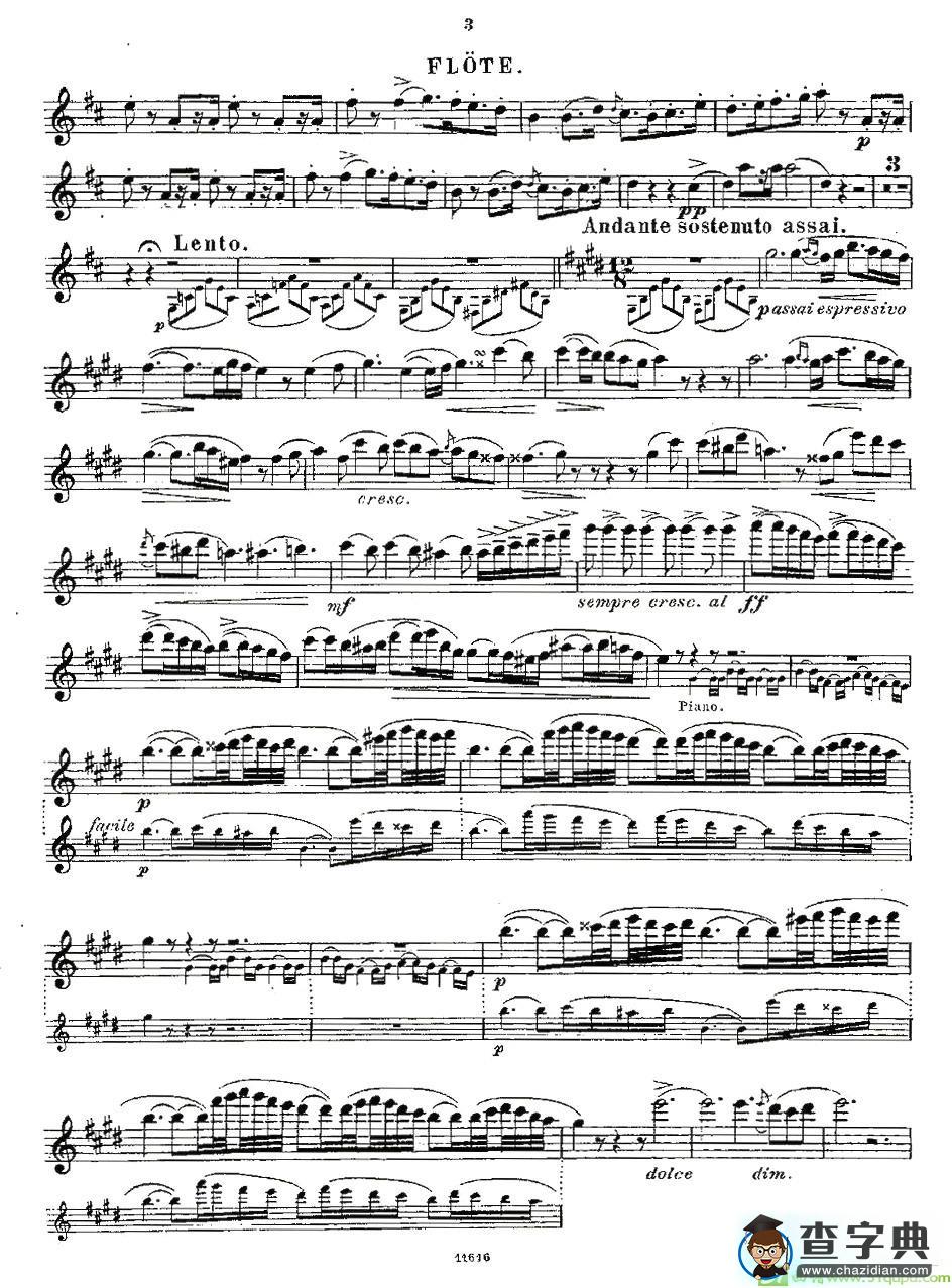 Opern-Transcriptionen.Op.45-2长笛谱