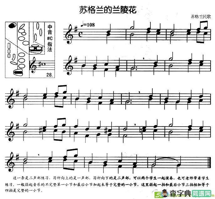 苏格兰的兰陵花萨克斯谱