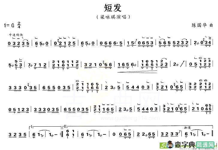 短发古筝古琴谱(陈国华作曲)