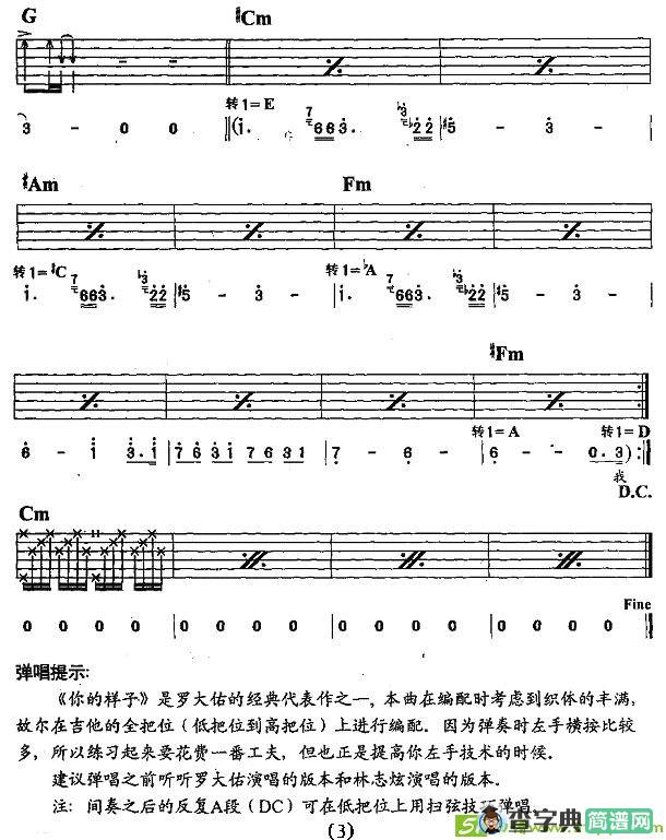 你的样子吉他谱(罗大佑作曲,罗大佑演唱)