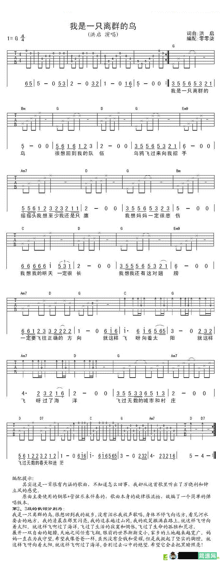 我是一只离群的鸟吉他谱(洪启作曲,洪启演唱)