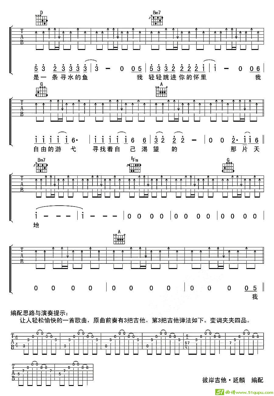 寻水的鱼吉他谱