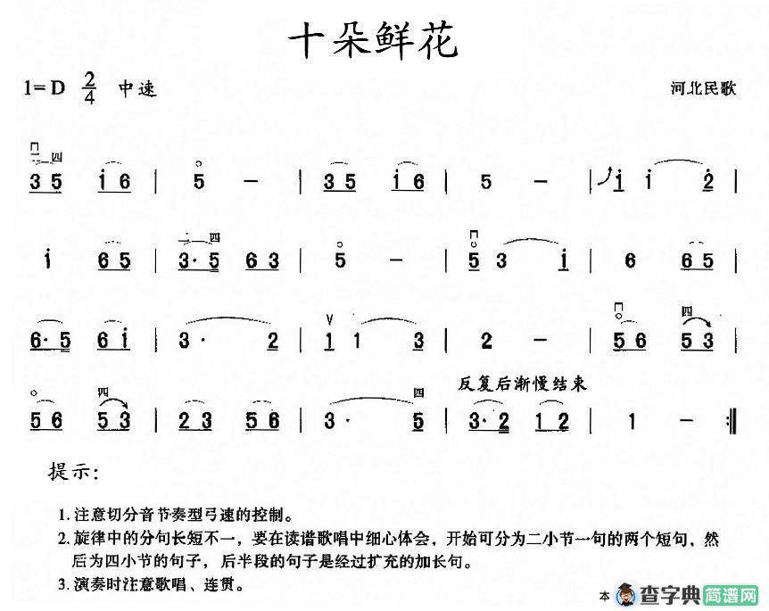 十朵鲜花