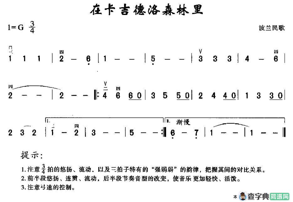 在卡吉德洛森林里
