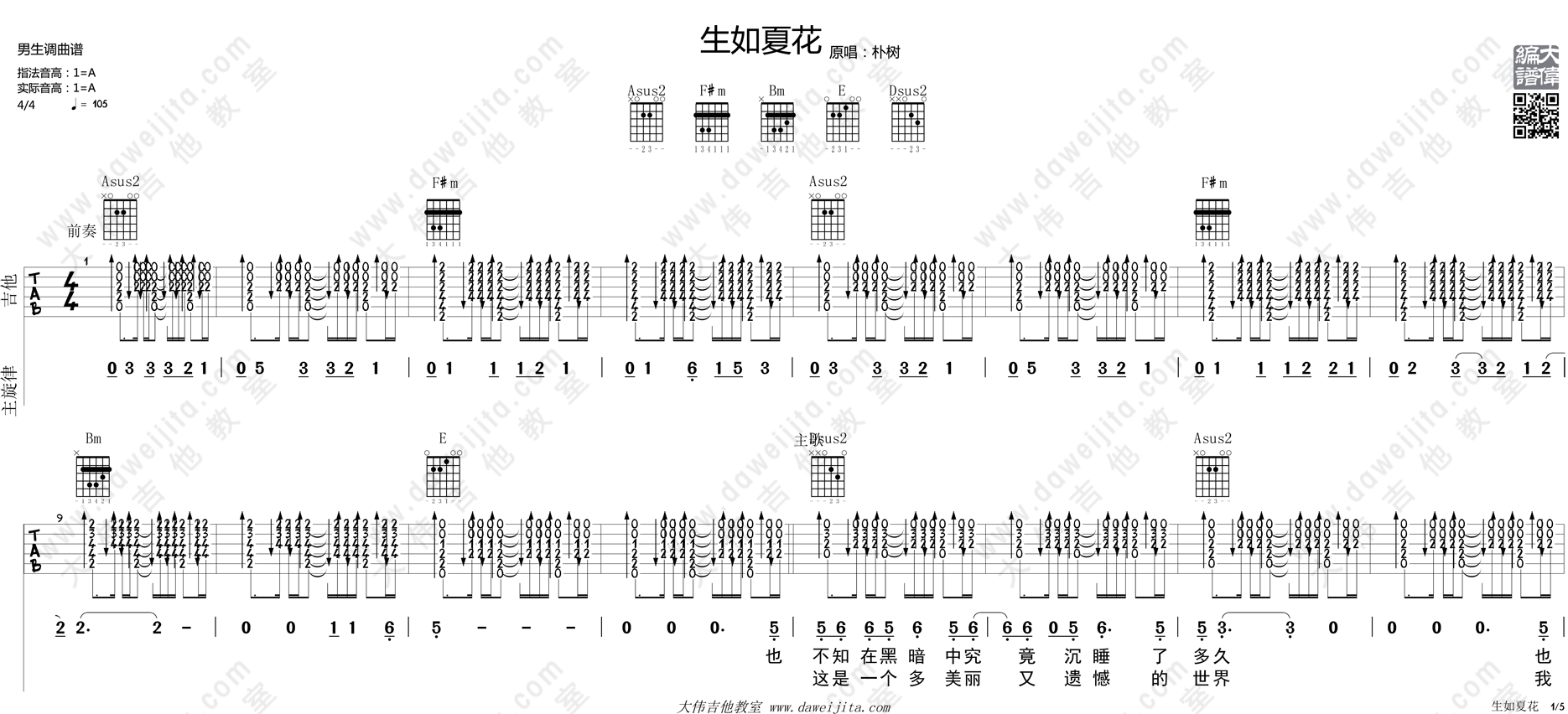 生如夏花(大伟)