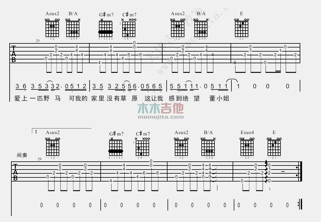 董小姐(大伟)