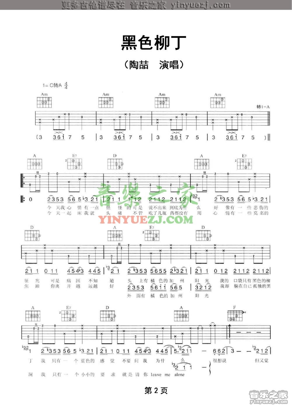 黑色柳丁