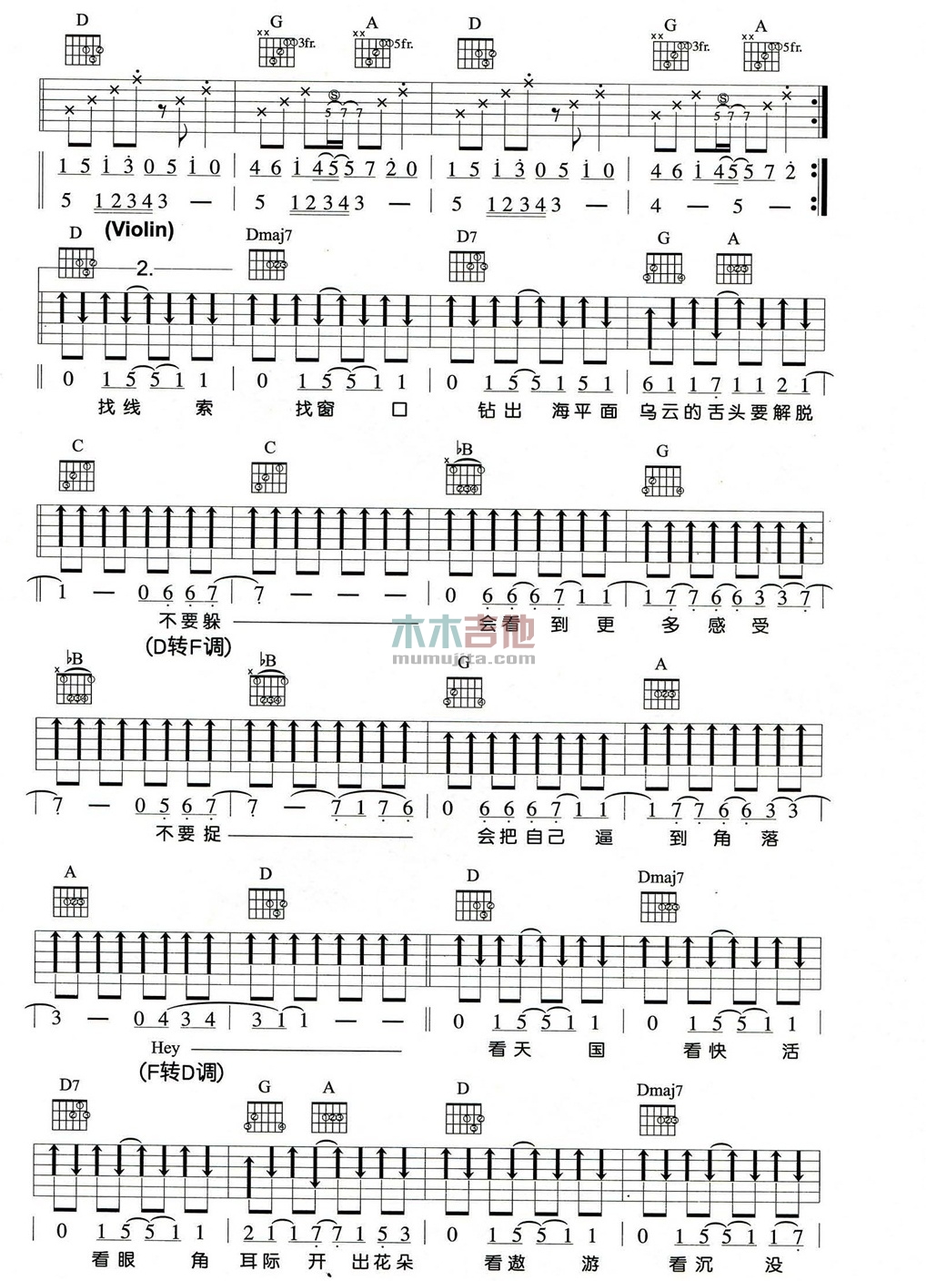 飞鱼