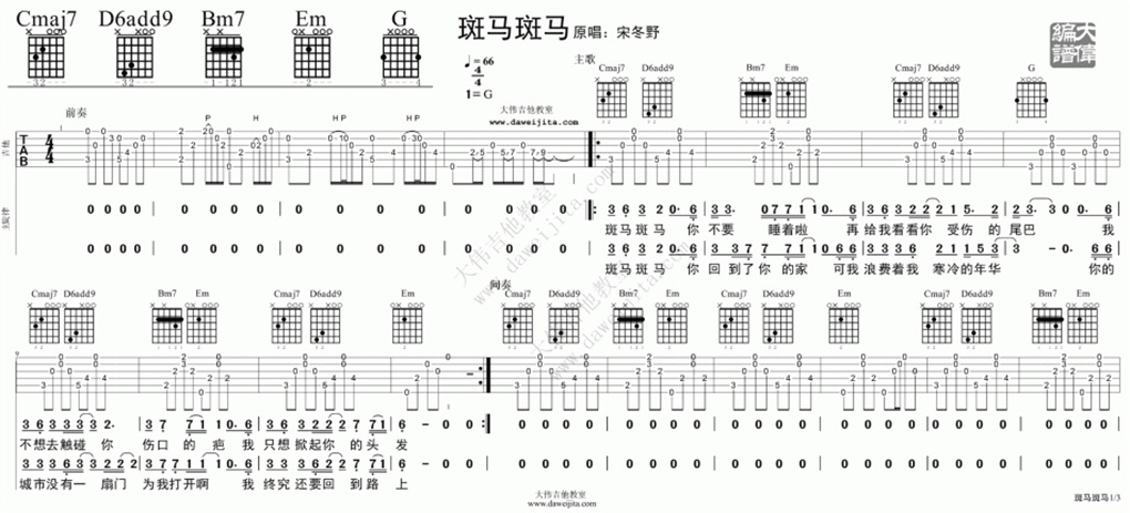 斑马斑马(大伟)