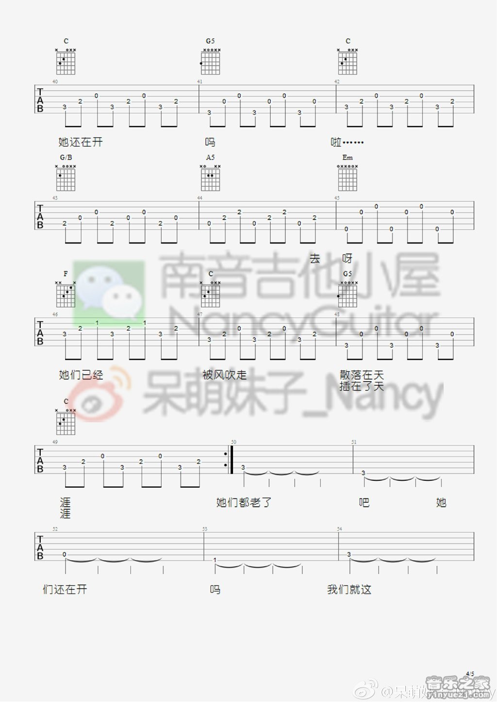 那些花儿(Nancy)