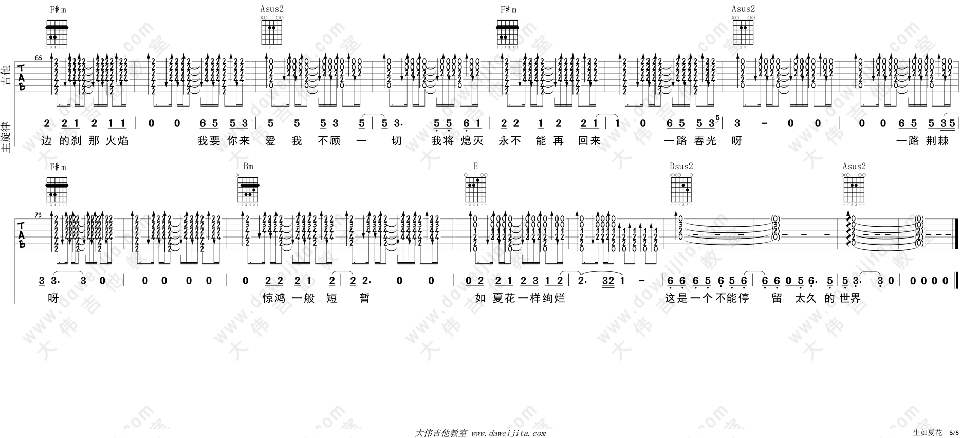 生如夏花(大伟)