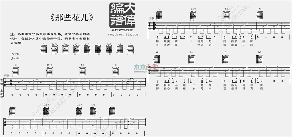 那些花儿(大伟)