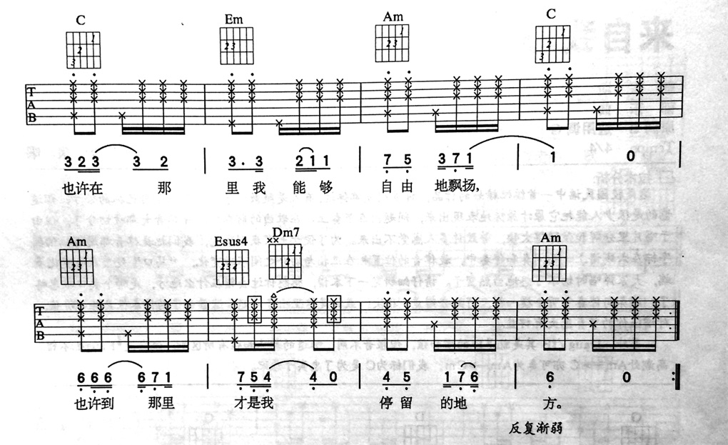 音乐虫子