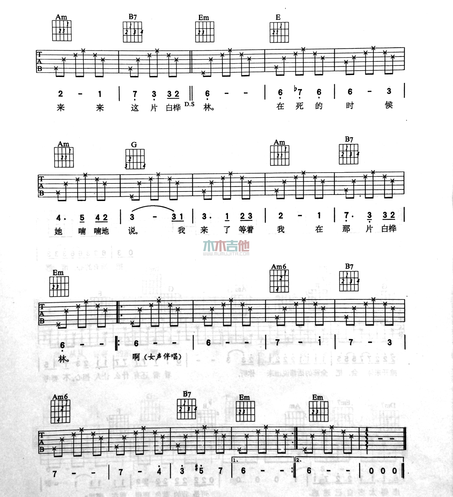 白桦林