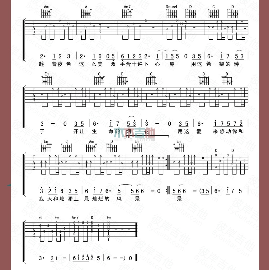 希望的种子
