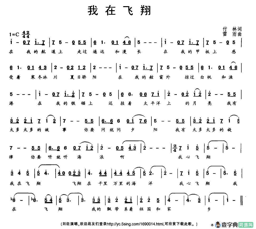 我在飞翔