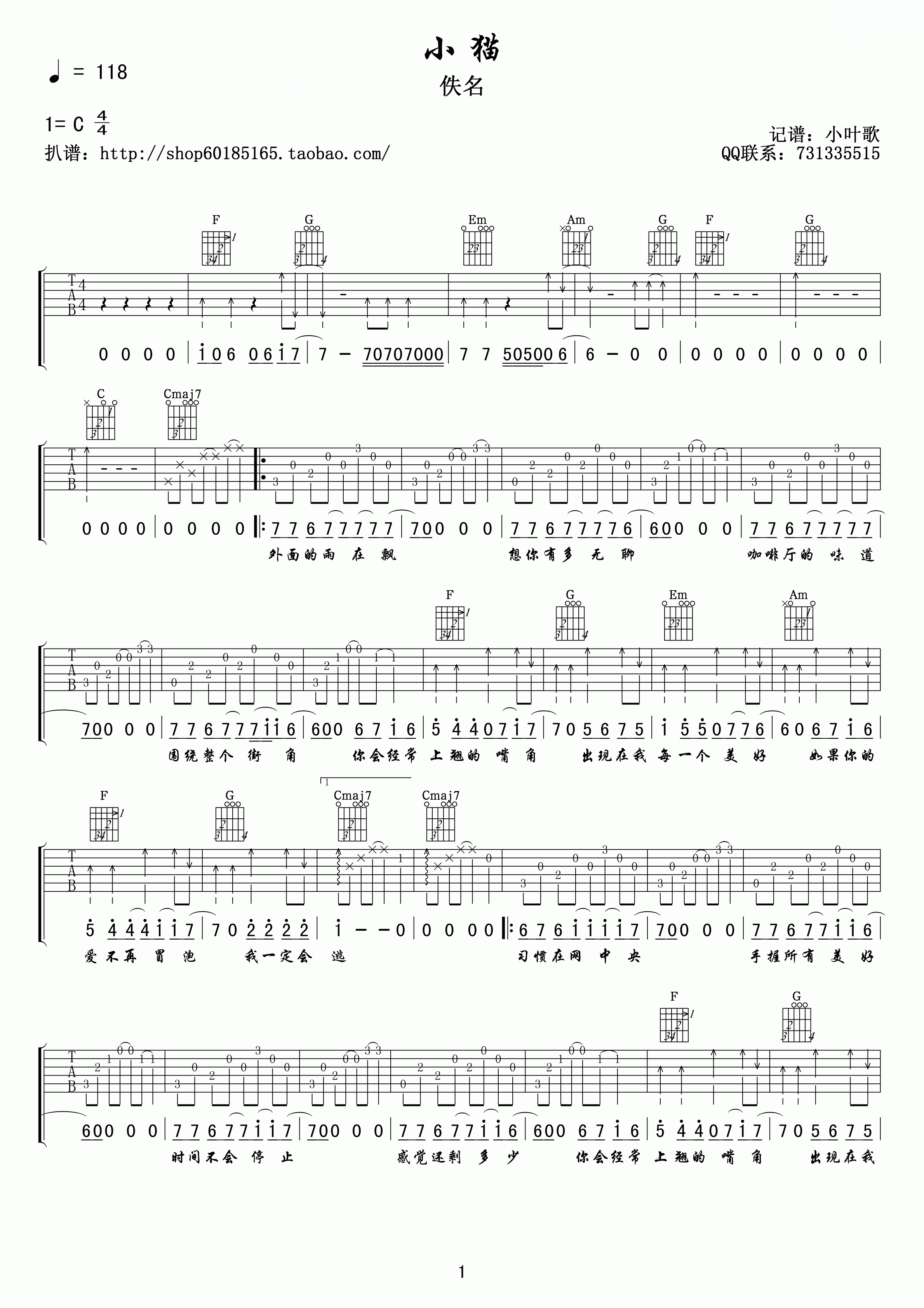 王继阳《小猫》