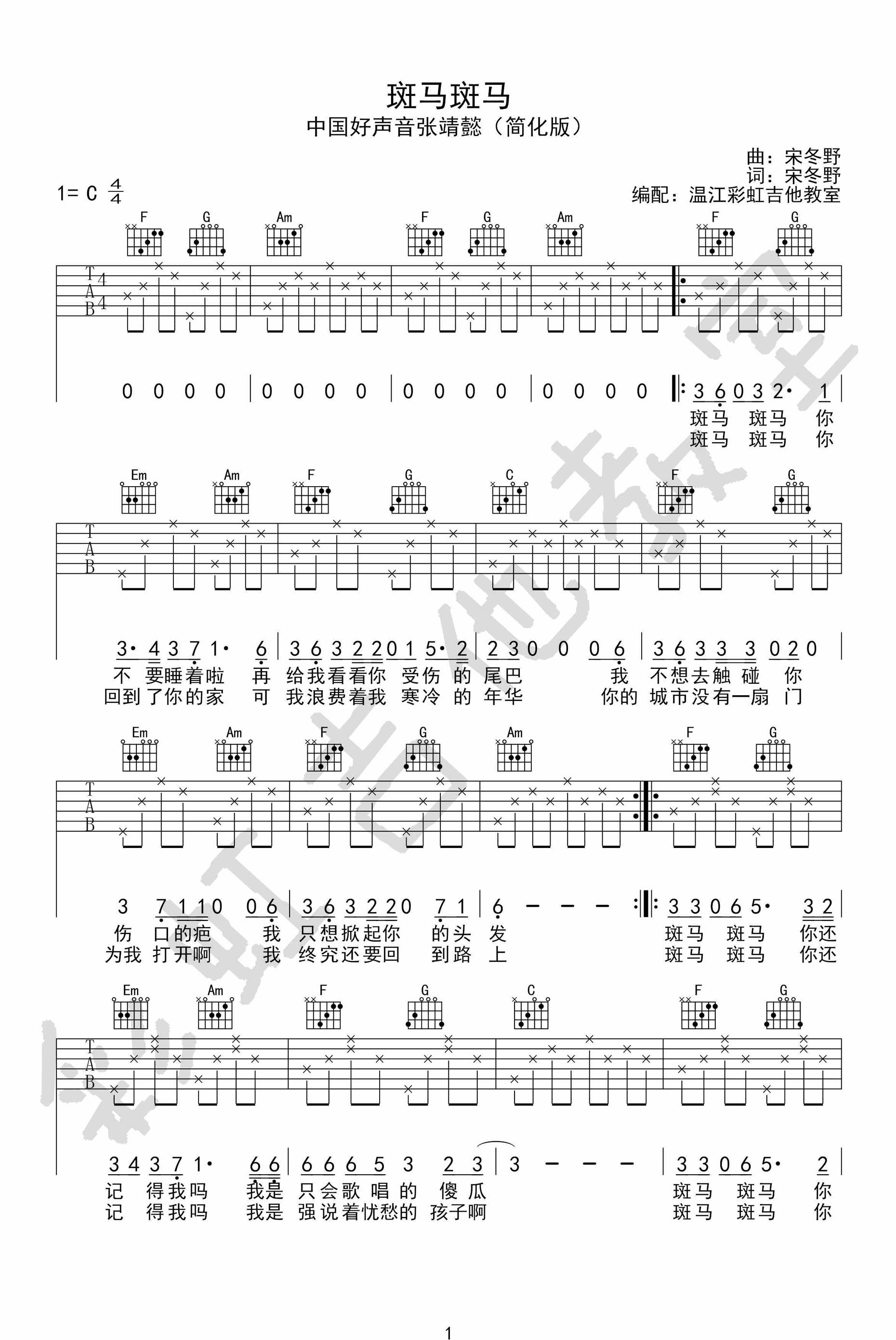 宋冬野 斑马斑马