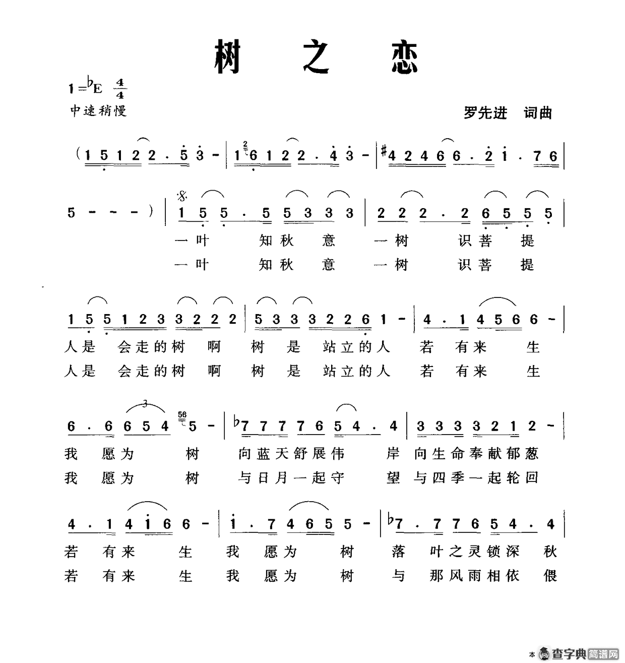 树之恋