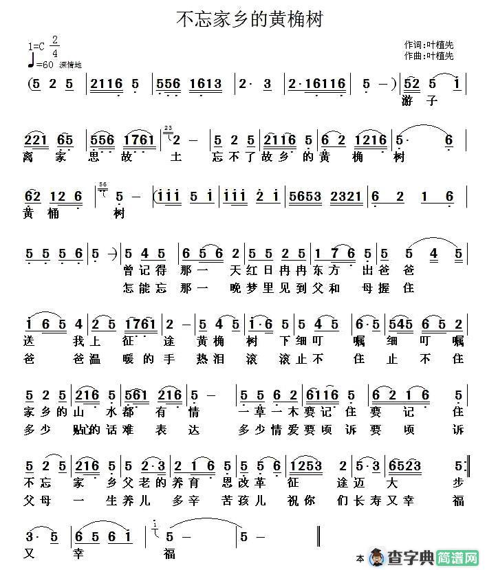 不忘家乡的黄桷树