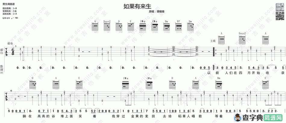 如果有来生(大伟)
