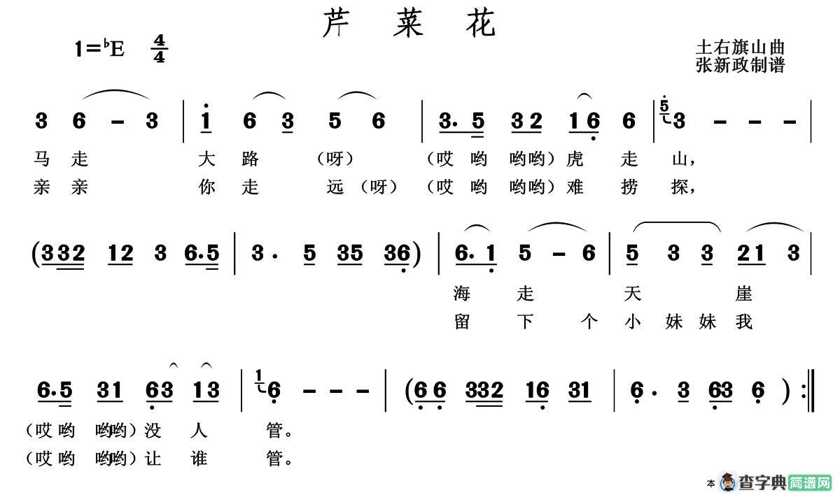 芹菜花