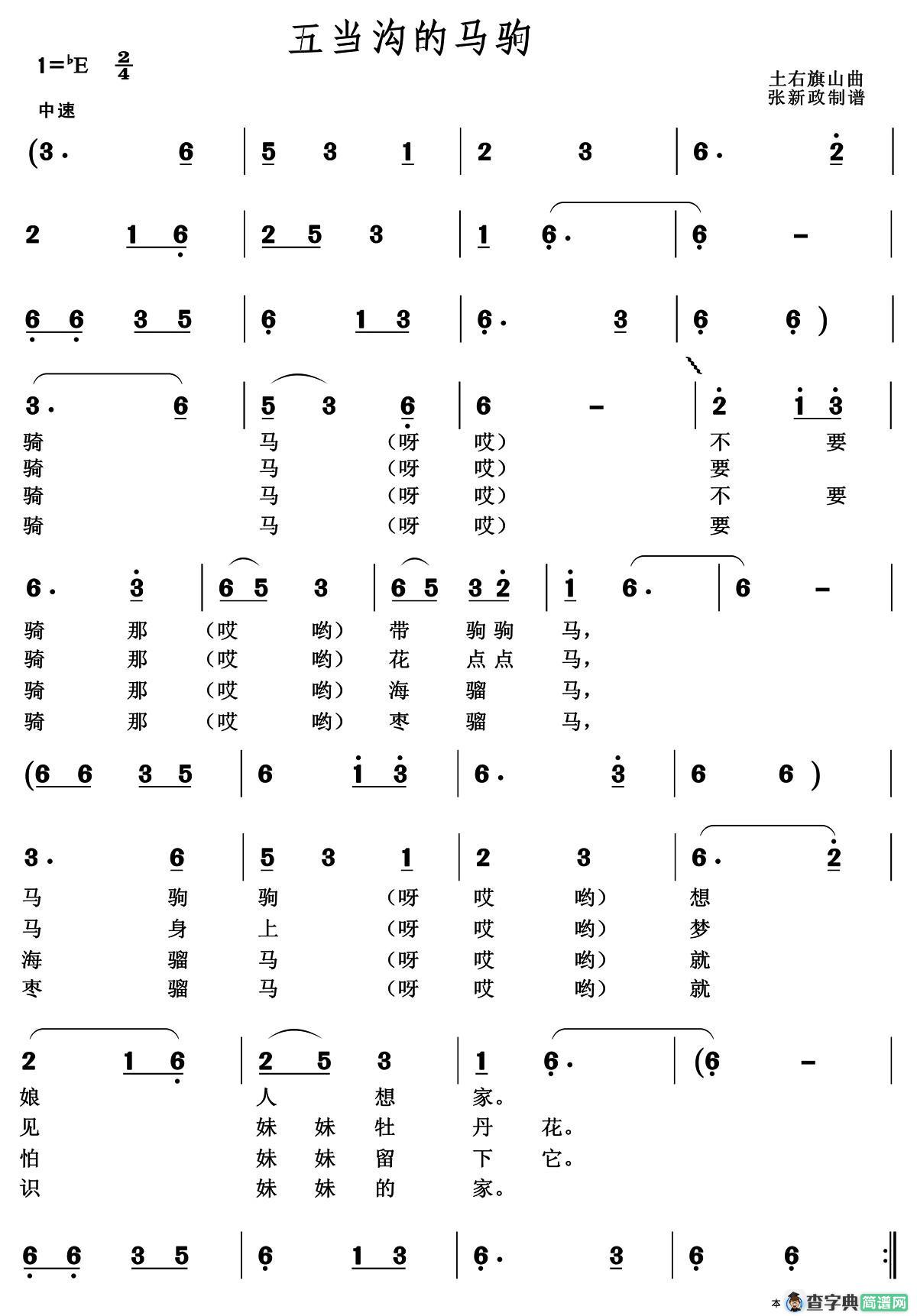 五当沟的马驹