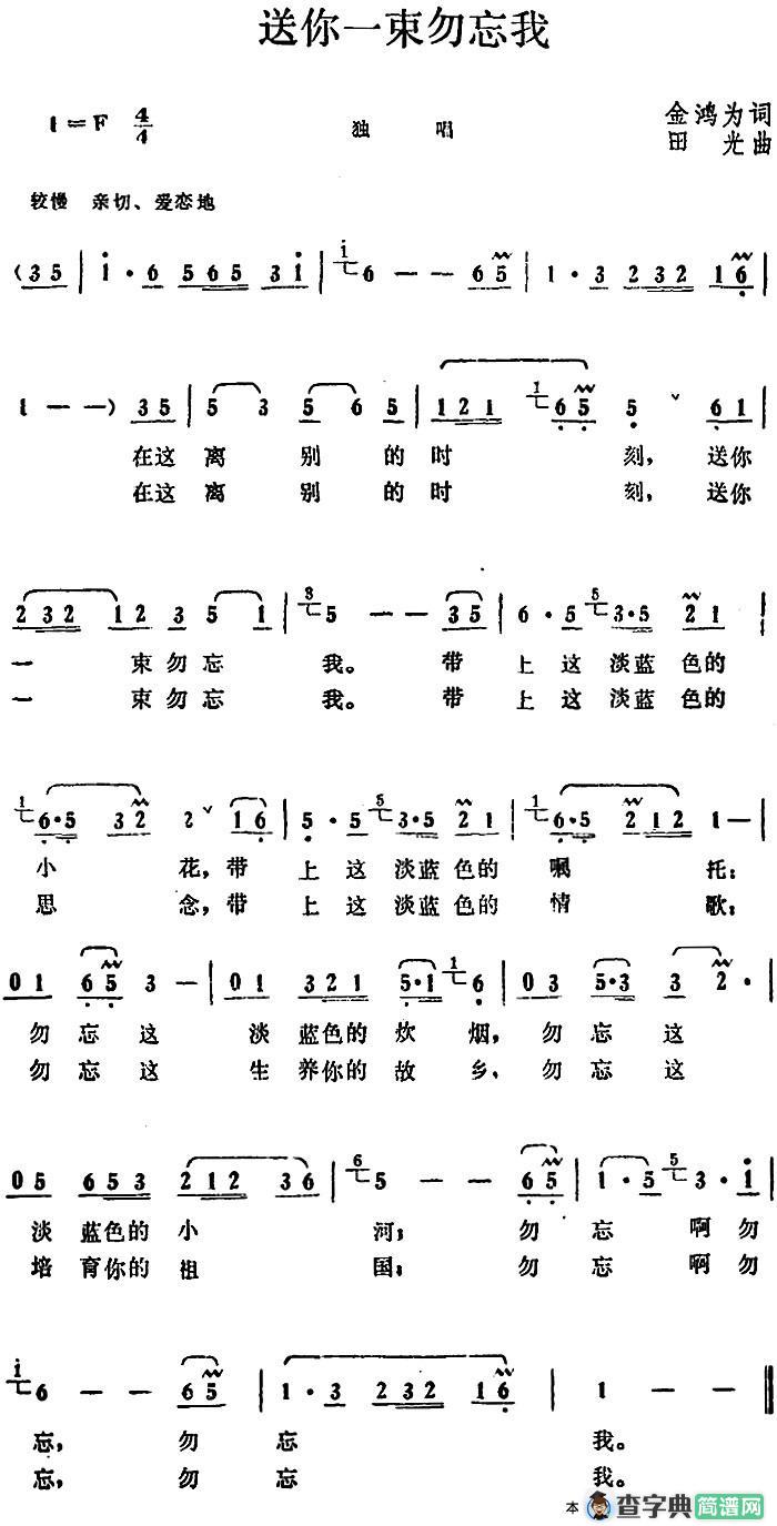 送你一束勿忘我