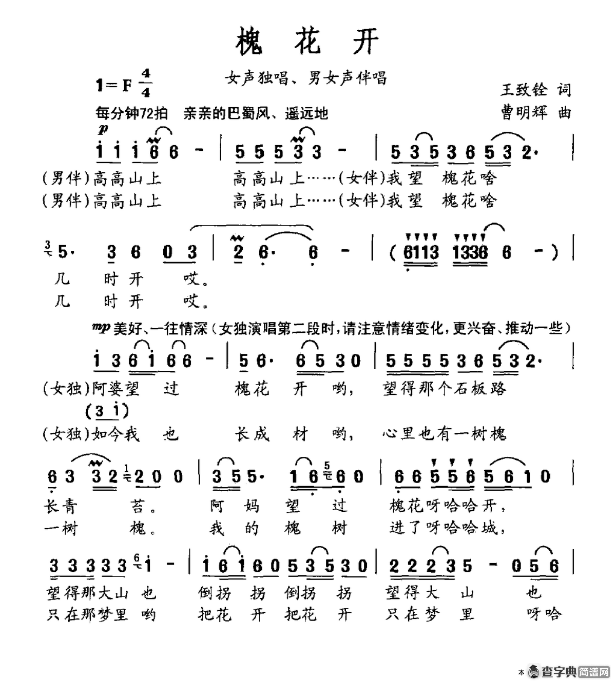 槐花开