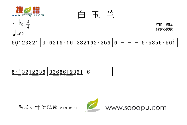 白玉兰