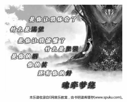 魂牵梦绕—夏鸣