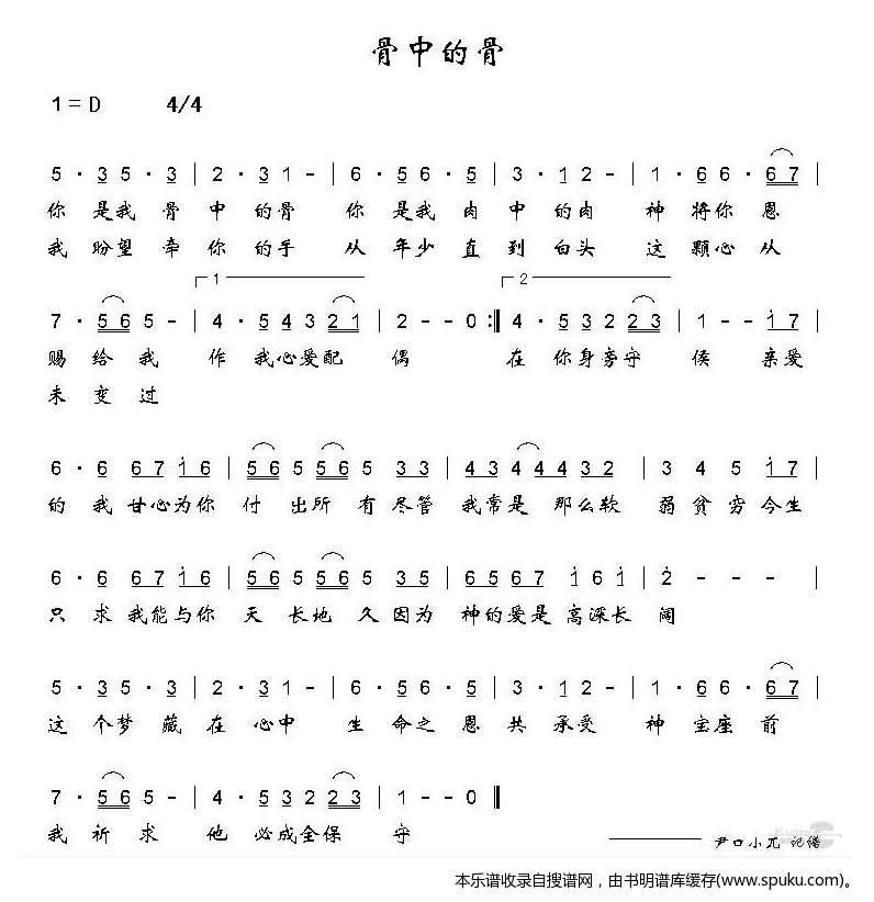 骨中的骨