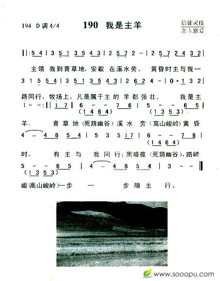我是主羊