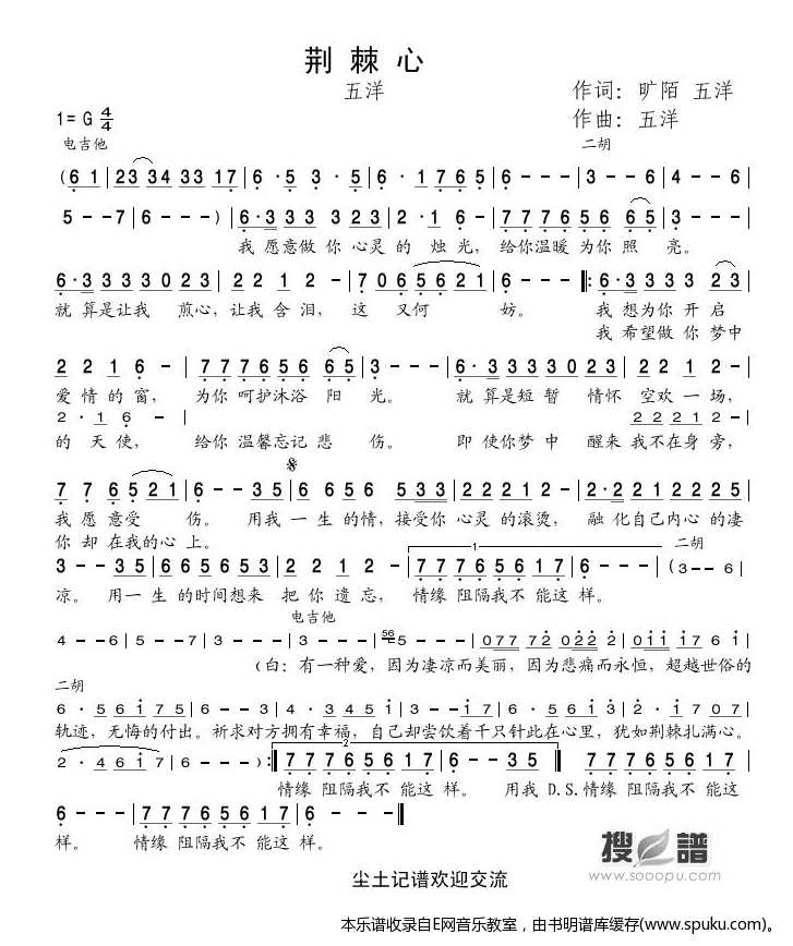 荆棘心-五洋